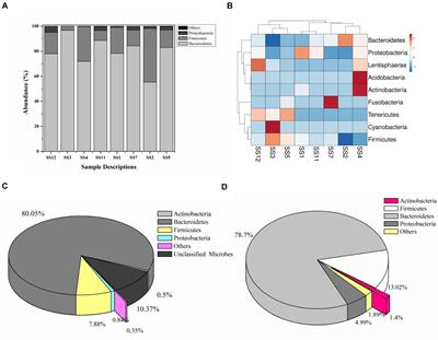 Catabolic Machinery of the Human Gut Microbes Bestow Resilience Against Vanillin Antimicrobial Nature